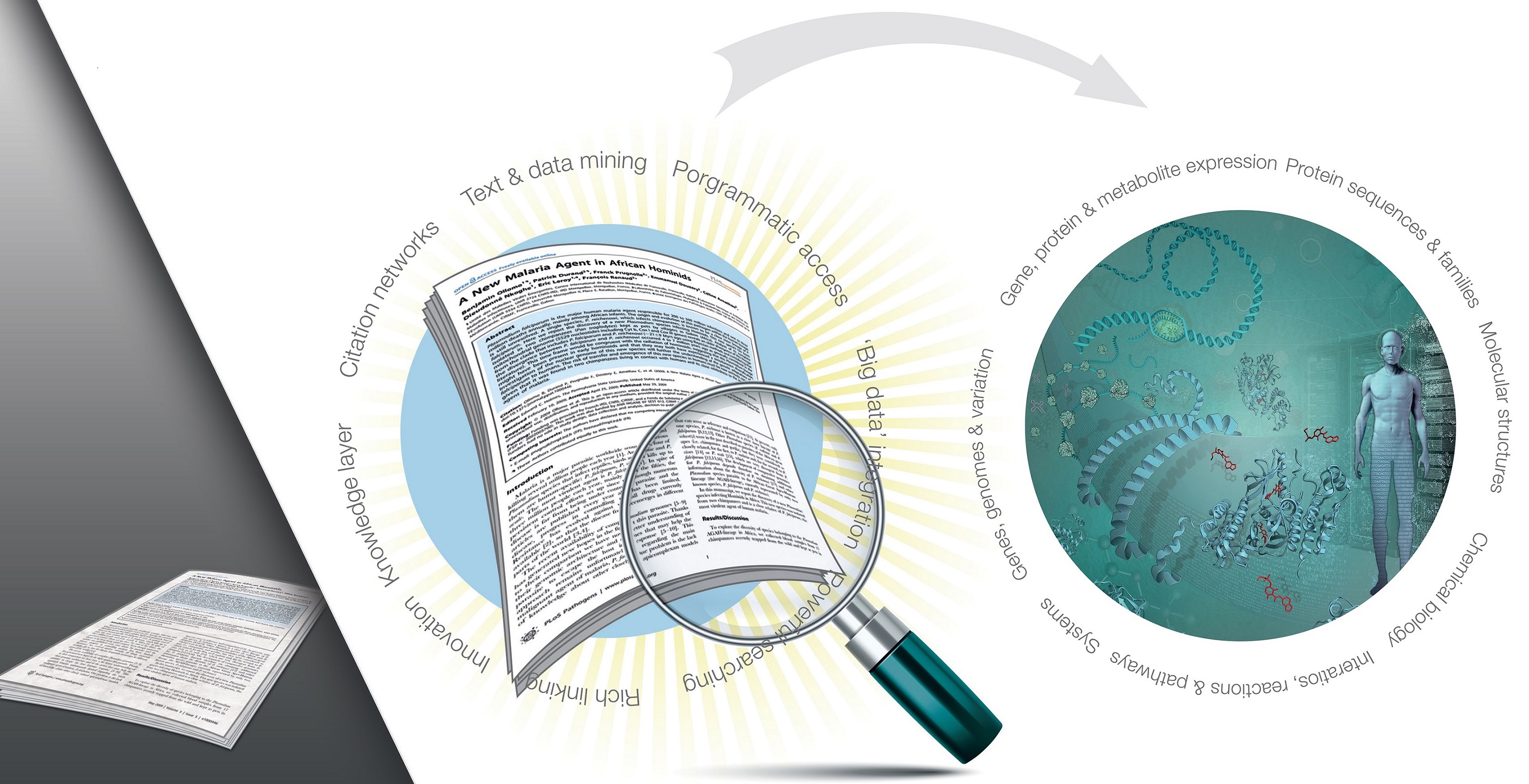 Open Access- Changing The Trend Of Scholarly Publication