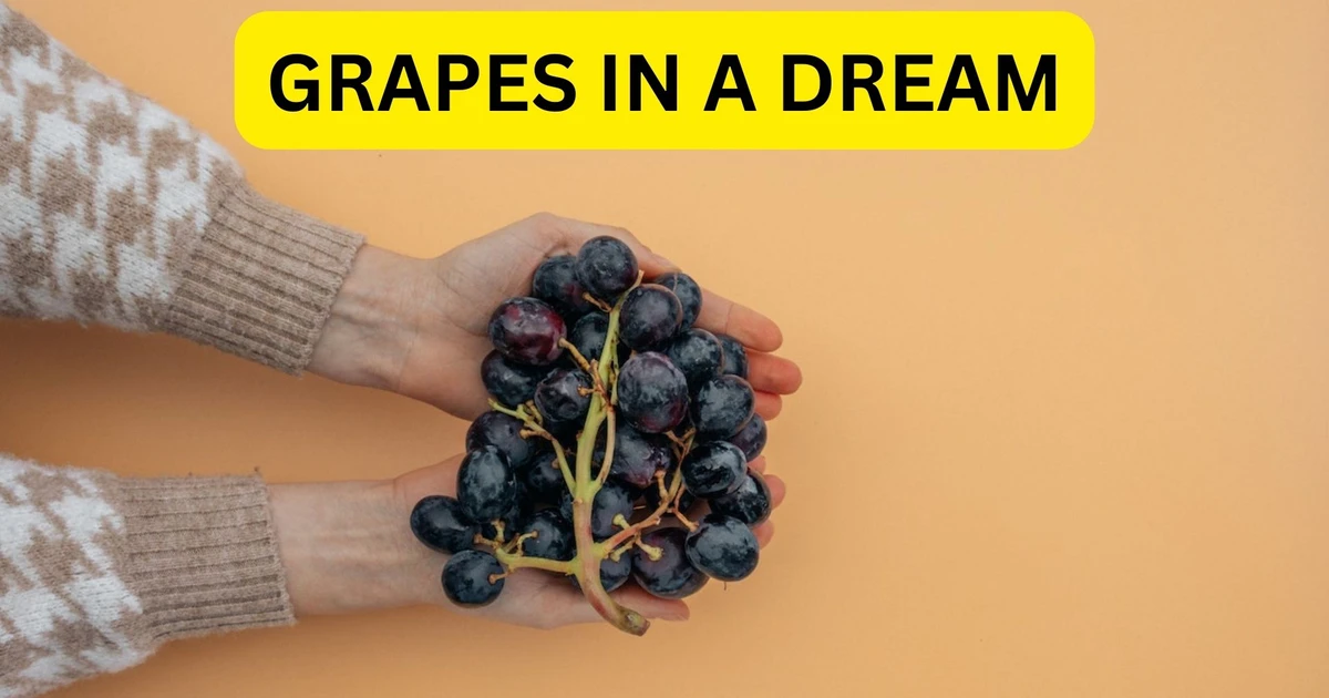 Grapes In A Dream A Growing Capital, Profits, And Earnings