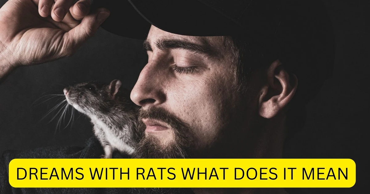 Dreams With Rats What Does It Mean? Usually A Sign Of Jealousy Or Envy