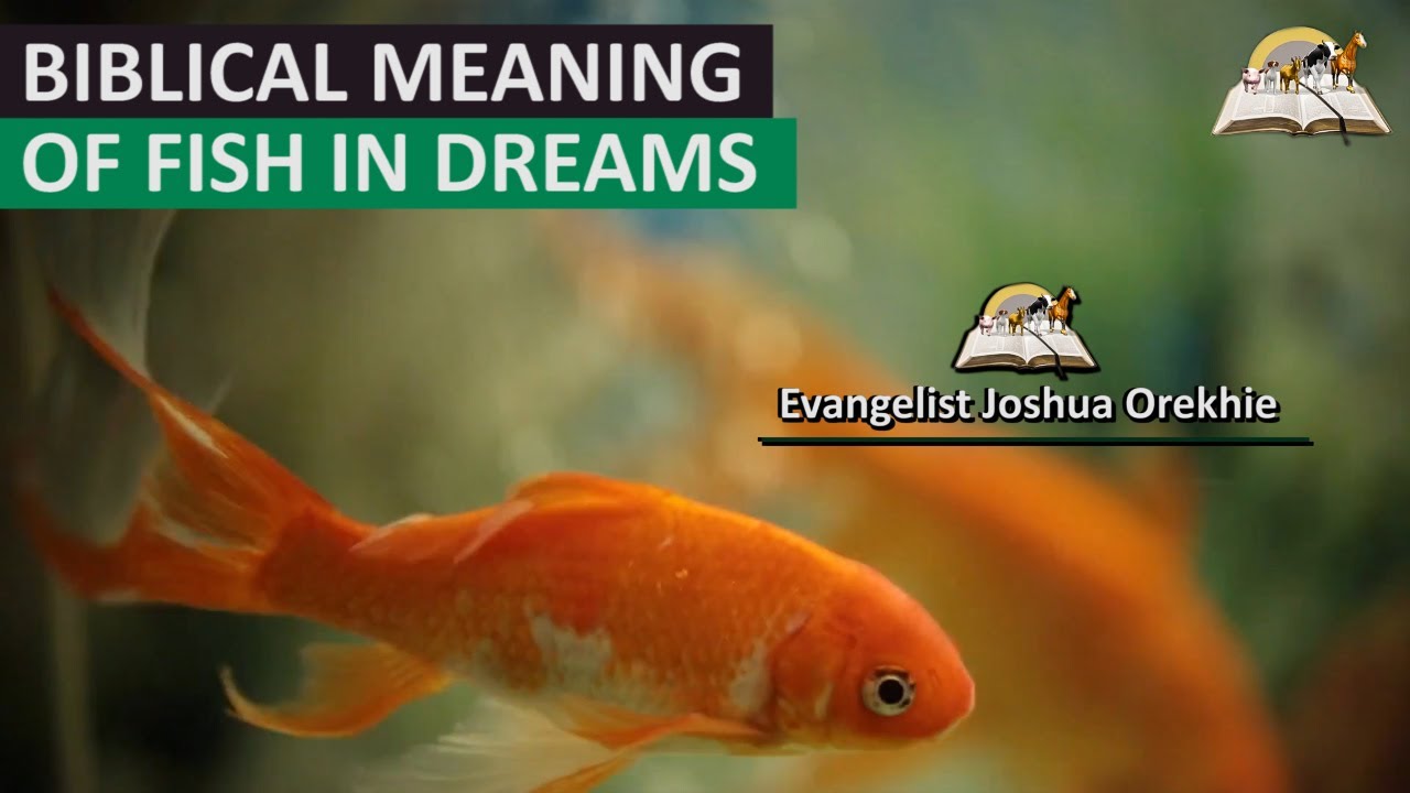 Biblical Meaning Of Fish In Dream