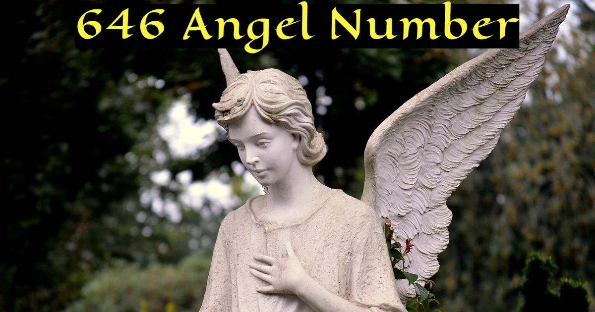 646 Angel Number - Indicates Inner Wisdom