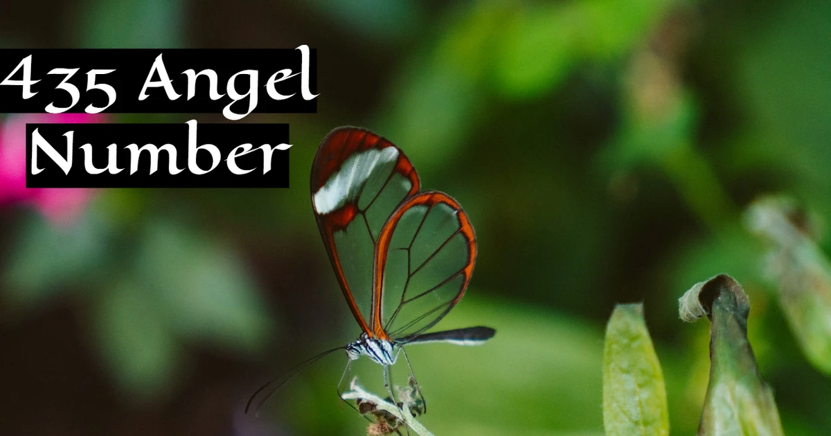 435 Angel Number - Your Life Is Going Through Major Changes