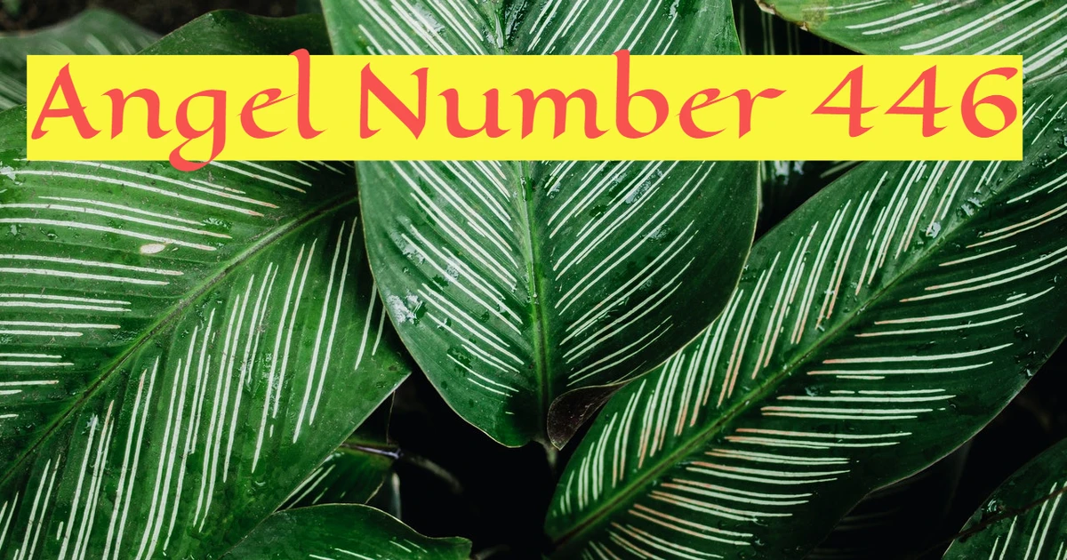 446 Angel Number - Symbolizes Faithfulness