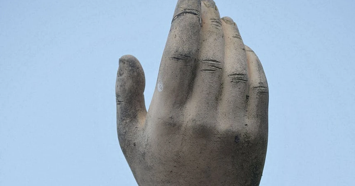 Amputated Fingertips Can Sometimes Regrow