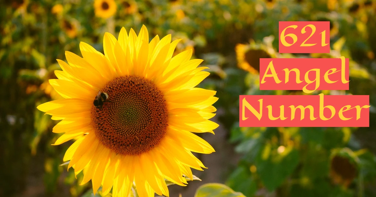 621 Angel Number Relates To The Field Of Relationships