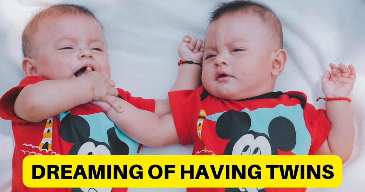 Dreaming Of Having Twins - Mean Two Opportunities Coming Your Way