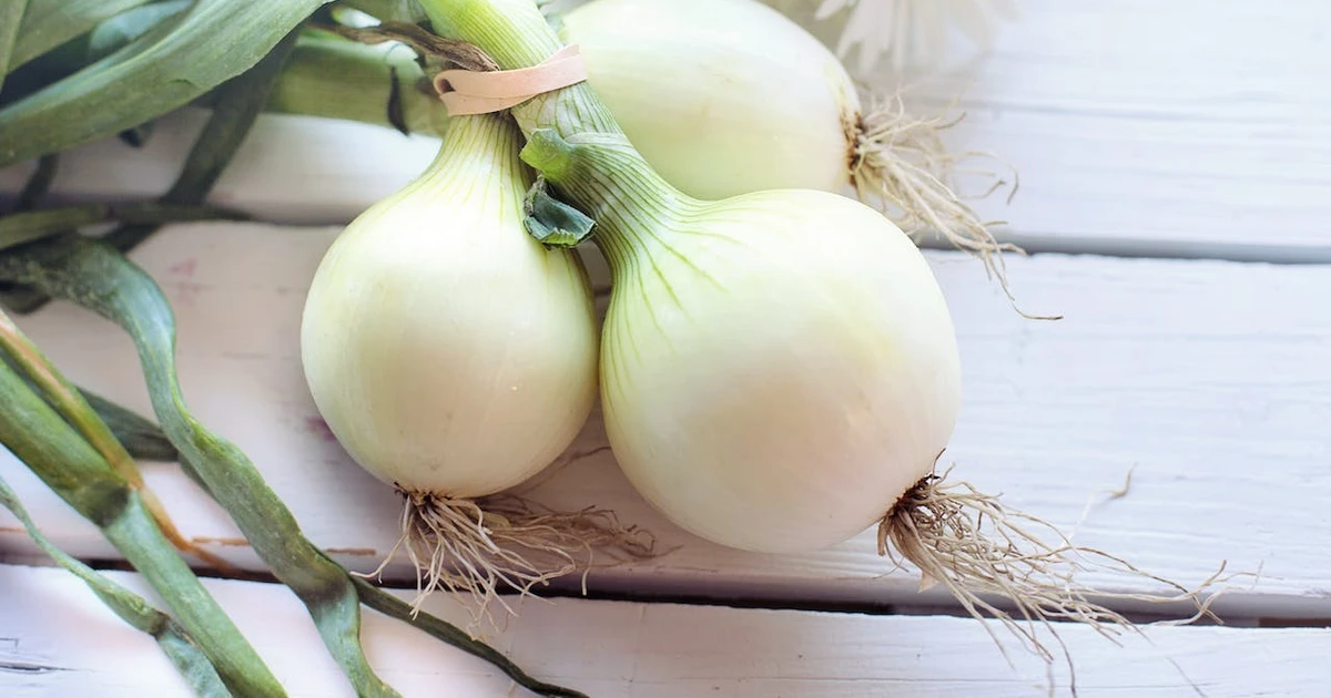 What Is The Biblical Meaning Of Onions In A Dream