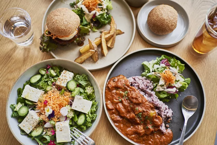 Flexitarian Diet